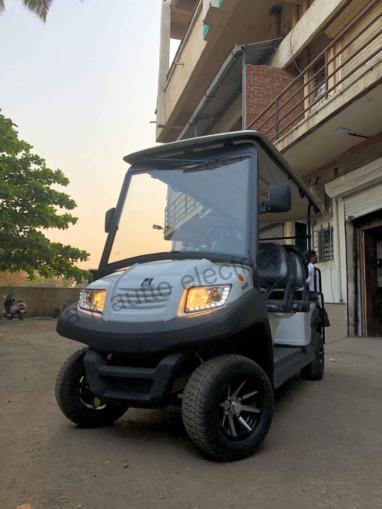 Golf Cart Rosabella 12