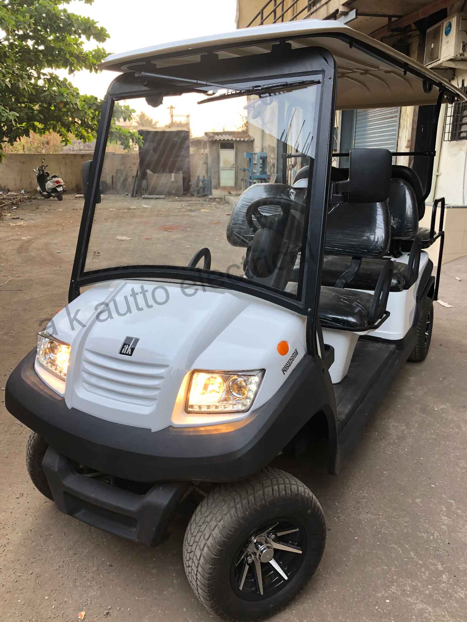 Golf Cart Rosabella 15