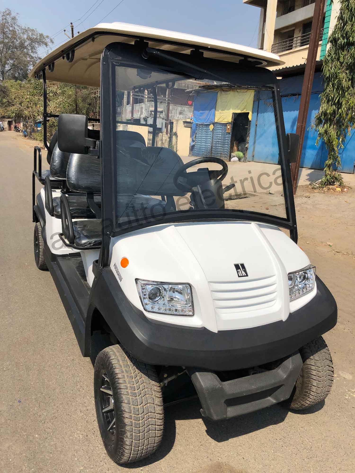 Golf Cart Rosabella 16